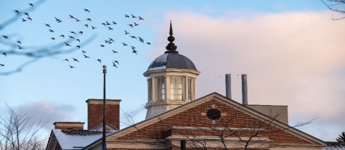 Alex Childress photo - Crows over library